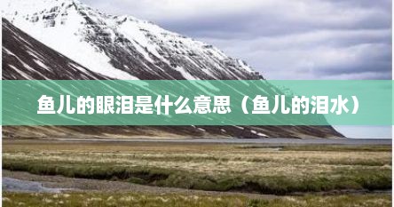 鱼儿的眼泪是什么意思（鱼儿的泪水）