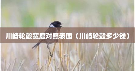 川崎轮毂宽度对照表图（川崎轮毂多少钱）