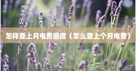 怎样查上月电费底度（怎么查上个月电费）