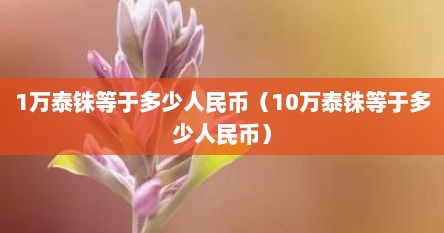 1万泰铢等于多少人民币（10万泰铢等于多少人民币）