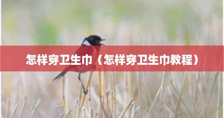 怎样穿卫生巾（怎样穿卫生巾教程）