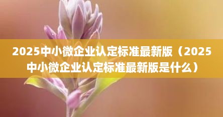 2025中小微企业认定标准最新版（2025中小微企业认定标准最新版是什么）