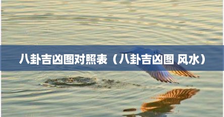 八卦的吉凶（八卦图吉凶方位）