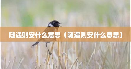 随遇则安之什么意思（随遇则安的句子）