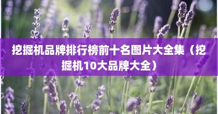 挖掘机品牌排行榜前十名图片大全集（挖掘机10大品牌大全）