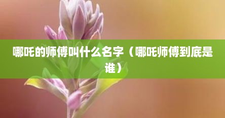 哪吒的师傅叫什么名字（哪吒师傅到底是谁）