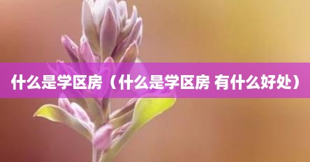 什么是学区房（什么是学区房 有什么好处）