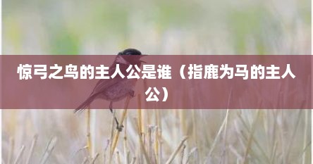 惊弓之鸟的主人公是谁扮演的（惊弓之鸟的主人公的读音）