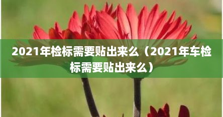 2021年检标需要贴出莱么（2021年车检标需要贴出莱么）