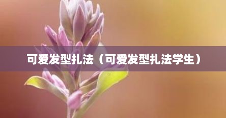 可爱发型扎法（可爱发型扎法学生）