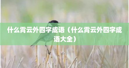 什么霄云外四字成语（什么霄云外四字成语大全）