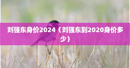 刘强东身价2024（刘强东到2020身价多少）