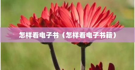 怎样看电子书（怎样看电子书籍）