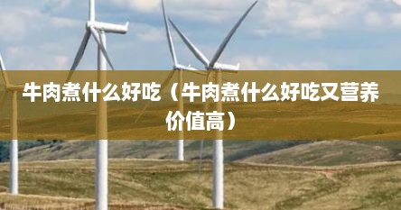 牛肉煮什么好吃（牛肉煮什么好吃又营养价值高）