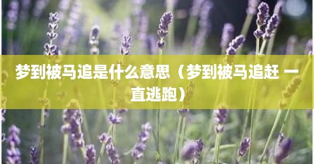 梦到被马追是什么意思（梦到被马追赶 一直逃跑）
