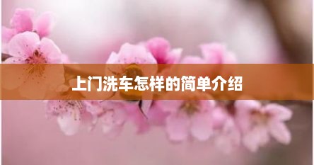 上门洗车怎样的简单介绍