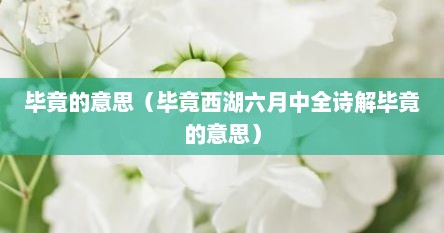 毕竟的意思（毕竟西湖六月中全诗解毕竟的意思）