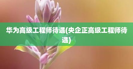 华为高级工程师待遇(央企正高级工程师待遇)