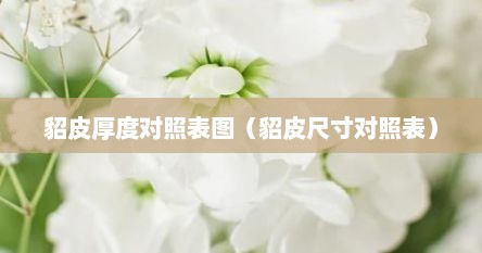 貂皮厚度对照表图（貂皮尺寸对照表）