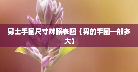 男士手围尺寸对照表图（男的手围一般多大）