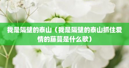 我是隔壁的泰山（我是隔壁的泰山抓住爱情的藤蔓是什么歌）