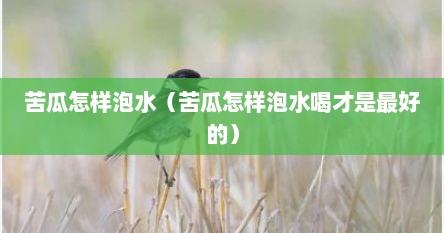 苦瓜怎样泡水（苦瓜怎样泡水喝才是最好的）
