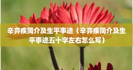 辛弃疾简介及生平事迹（辛弃疾简介及生平事迹五十字左右怎么写）