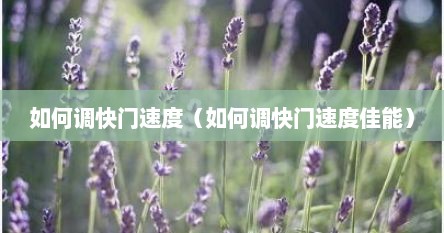 如何调快门速度（如何调快门速度佳能）