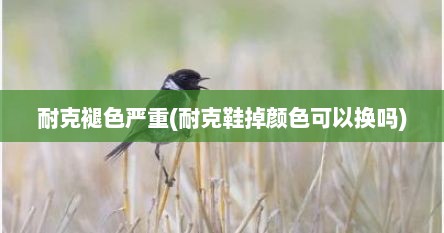 耐克褪色严重(耐克鞋掉颜色可以换吗)
