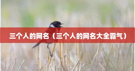 三个人的网名（三个人的网名大全霸气）