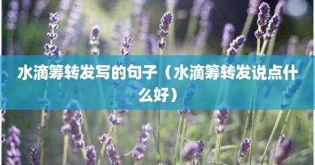 水滴筹转发写的句子（水滴筹转发说点什么好）