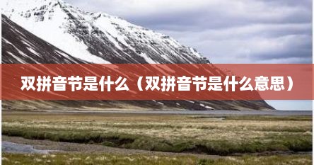 双拼音节是什么（双拼音节是什么意思）