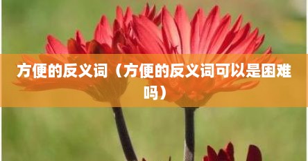 方便的反义词（方便的反义词可以是困难吗）