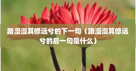 路漫漫其修远兮的下一句（路漫漫其修远兮的后一句是什么）