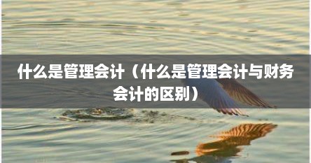 什么是管理会计（什么是管理会计与财务会计的区别）