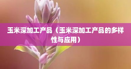 玉米深加工产品（玉米深加工产品的多样性与应用）