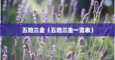 五险三金（五险三金一览表）