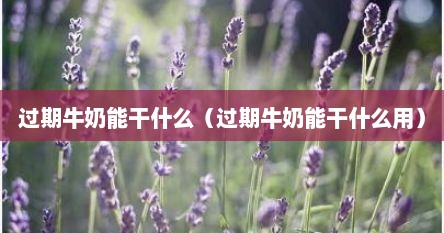 过期牛奶能干什么（过期牛奶能干什么用）
