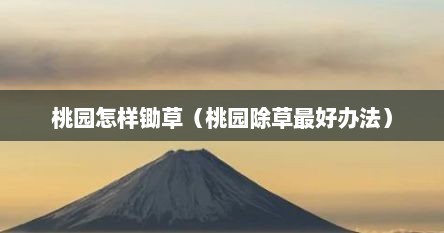 桃园怎样锄草（桃园除草最好办法）