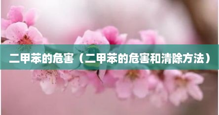 二甲苯的危害（二甲苯的危害和清除方法）