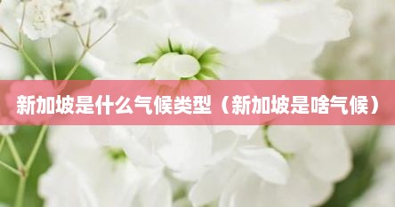新加坡是什么气候类型（新加坡是啥气候）