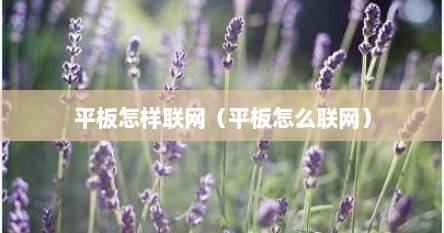 平板怎样联网（平板怎么联网）
