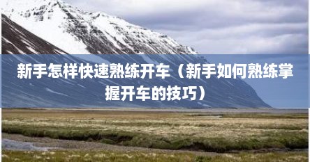 新手怎样快速熟练开车（新手如何熟练掌握开车的技巧）