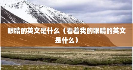 眼睛的英文是什么（看着我的眼睛的英文是什么）