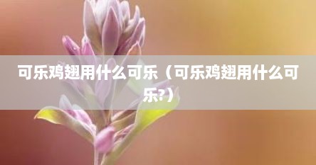 可乐鸡翅用什么可乐(可乐鸡翅用什么可乐?)