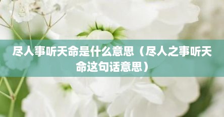 尽人事听天命是什么意思（尽人之事听天命这句话意思）