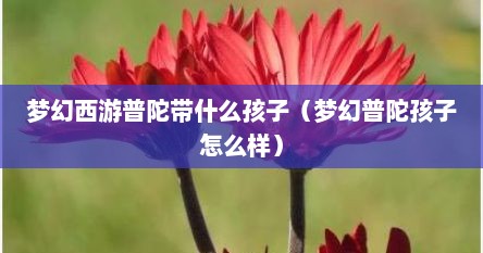 梦幻西游普陀带什么孩子（梦幻普陀孩子怎么样）