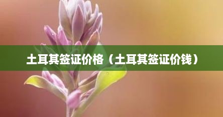 土耳其签证价格（土耳其签证价钱）
