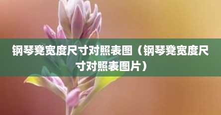 钢琴凳宽度尺寸对照表图（钢琴凳宽度尺寸对照表图片）