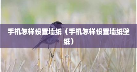 手机怎样设置墙纸（手机怎样设置墙纸壁纸）